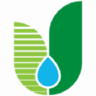 Acely Group