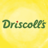 Acely Group