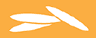 Acely Group