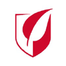 Acely Group
