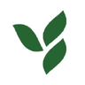 Acely Group