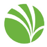 Acely Group