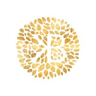 Acely Group