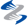 Acely Group