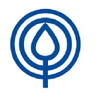 Acely Group