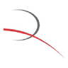 Acely Group