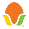 Acely Group