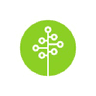 Acely Group