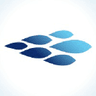 Acely Group
